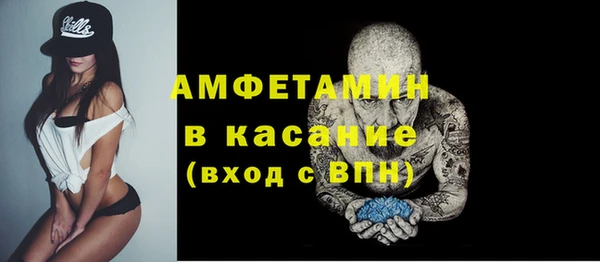 индика Алзамай