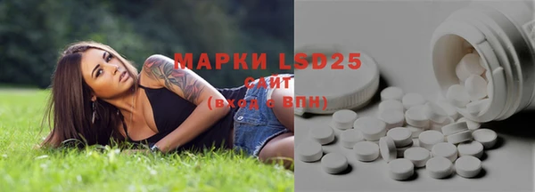 хмурый Алексин