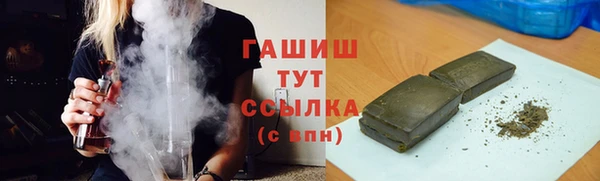 хмурый Алексин