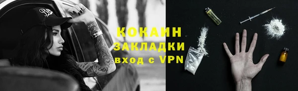 хмурый Алексин