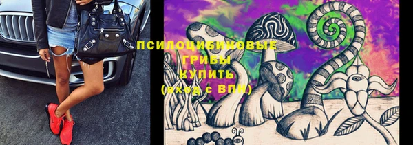 индика Алзамай