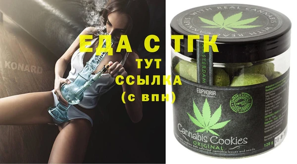 индика Алзамай