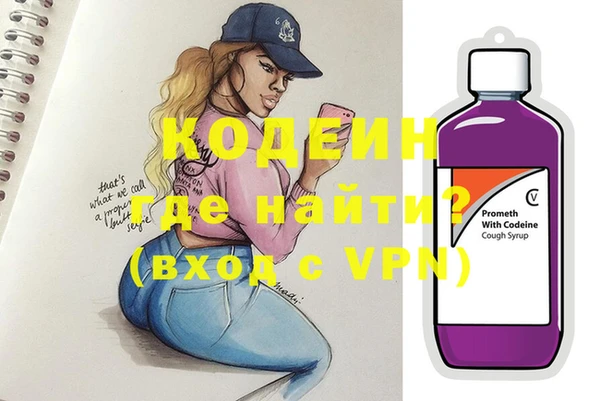 индика Алзамай